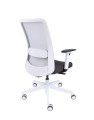 p13.jpg
