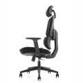 pol_pm_Fotel-ergonomiczny-ANGEL-biurowy-obrotowy-Regulo-13565_5.jpg