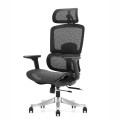 pol_pl_Fotel-ergonomiczny-ANGEL-biurowy-obrotowy-Otus-13554_6.jpg