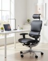 fotel-ergohuman-2-elite-st-le01-wizualizacja.jpg